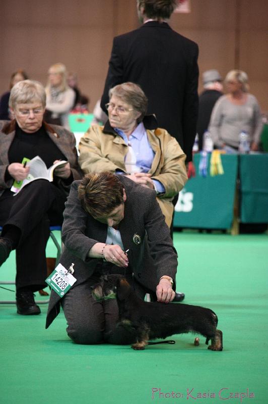 Crufts2011_2 970.jpg